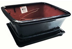 LOTUS INTERNATIONAL - 10'  Gloss Black Flared Rectangular Glazed Bonsai Pro-Pot with indented corners & Attached Ceramic Tray 